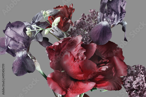 red peony and purple irises on a gray background, close-up, studio shot.