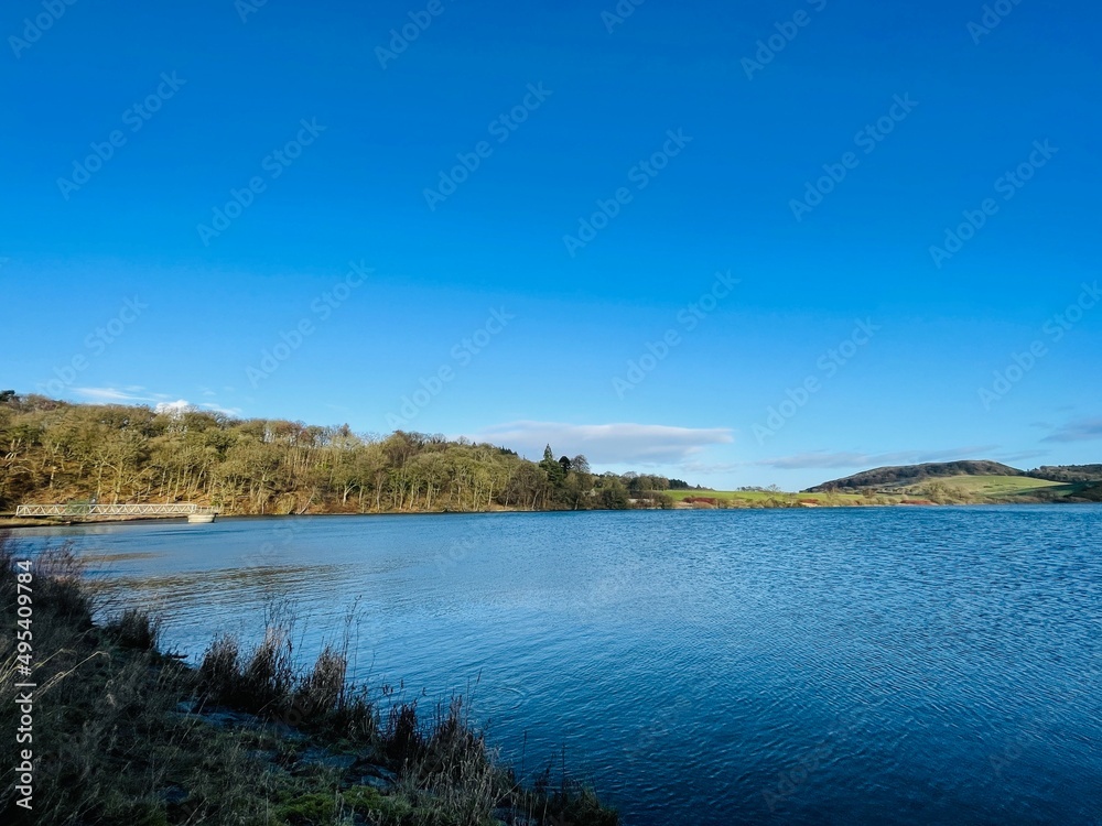 lake and forest