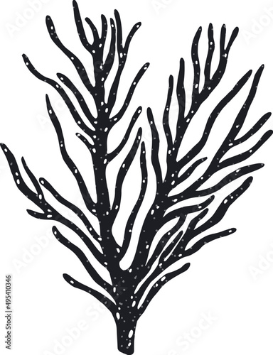 Underwater Coral Colored Cartoon Illustration