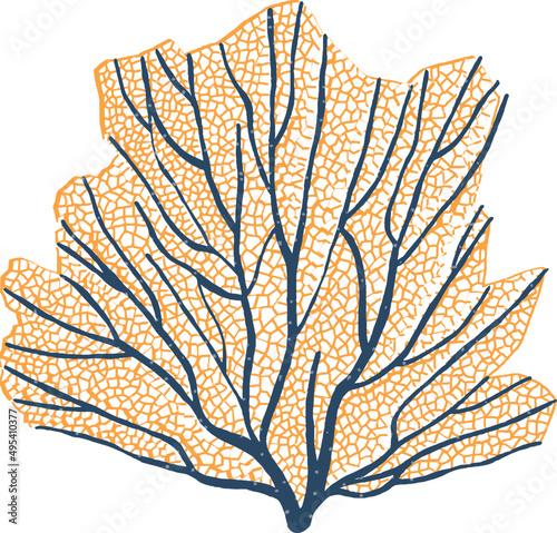 Aquatic Algae or Seaweed Colored Illustration