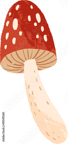 Autumn Mushroom Colored Cartoon Illustartion