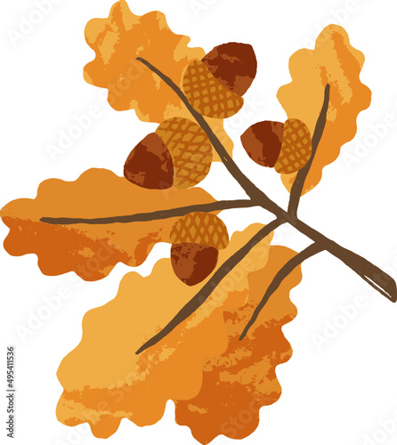 Autumn Branch with Leaves and Acorns Colored Cartoon Illustartion