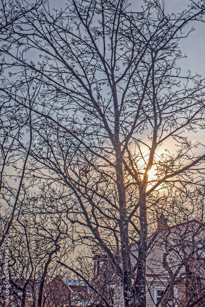 A spring sunset in a small rural settlement A spring sunset in a small rural settlement