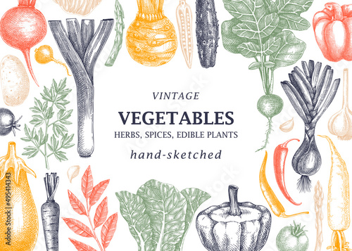 Hand-sketched Vegetable vintage frame. Hand-drawn tomatoes, squashes, peppers, potatoes, asparagus and other vegetables drawings. Healthy food background for menu, recipe, restaurant, packaging.