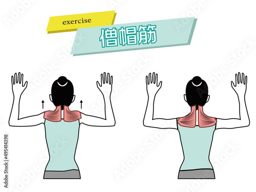 僧帽筋上部繊維のトレーニング。女性モデル