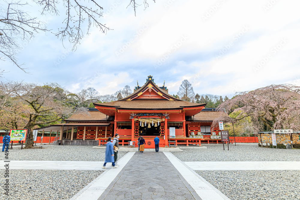 Naklejka premium 初春の富士山本宮浅間大社 静岡県富士宮市 Fujisan Hongu Sengen Taisha Shrine in early spring.Sizuoka-ken Fujinomiya city.