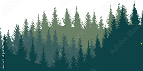 Coniferous forest on the slopes of the mountains