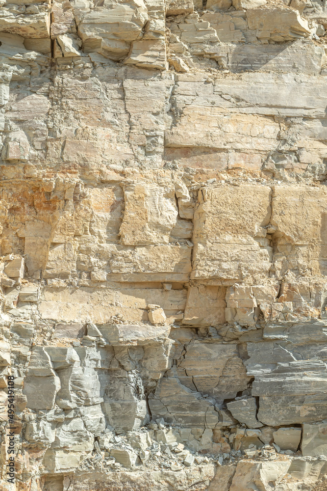 Fototapeta premium Silurian limestone cut of a rock at a quarry.