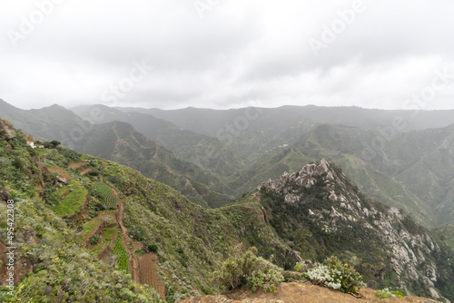 Anaga mountains  steep slopes covered with green and lush forest. A Rural Parkand Biosphere Reserve in Tenerife  Canary islands  Spain