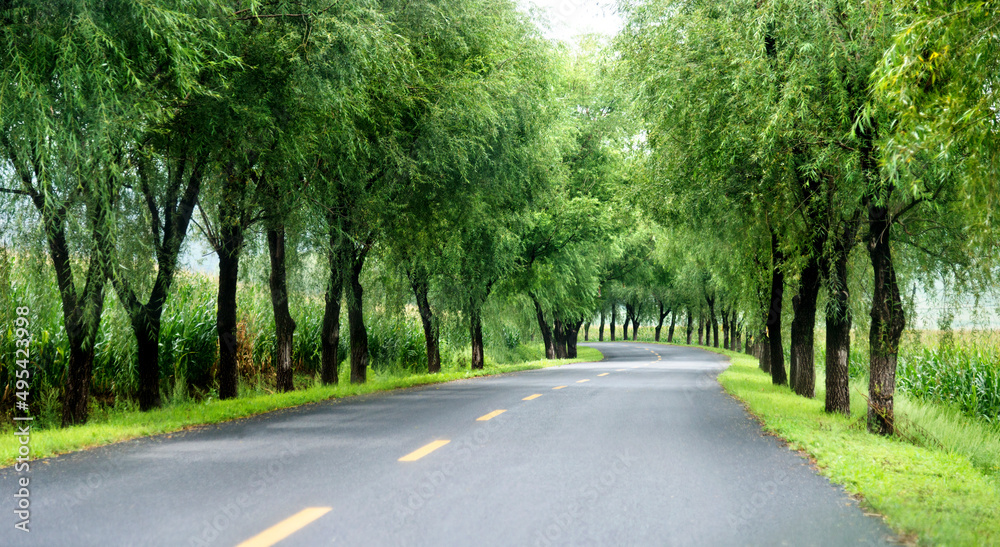 Fototapeta premium Asphalt road through green field in summer day