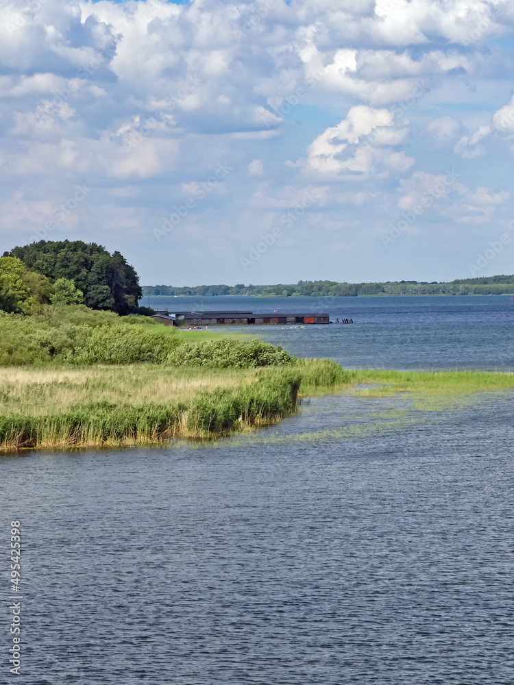 Fototapeta premium Landschaft am Plauer See in Mecklenburg-Vorpommern an einem sonnigen Sommertag, Deutschland