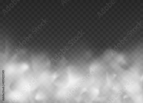 White fog texture isolated on transparent background. Steam texture illustration. Powder explosion concept. Fog or smoke.