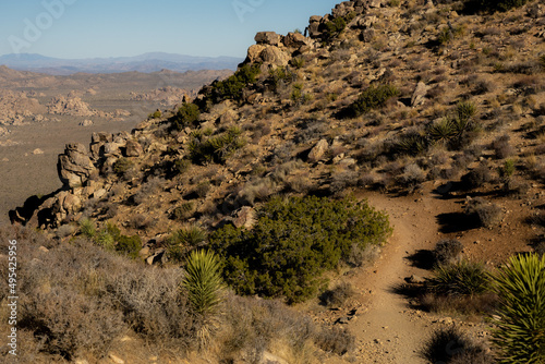 Ryan Mountain Trail Looks Out Over The Lost Horse Valley Below © kellyvandellen