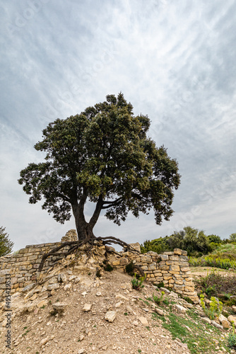 The Caesar camp in Laudun-L'Ardoise, in the Rhône corridor