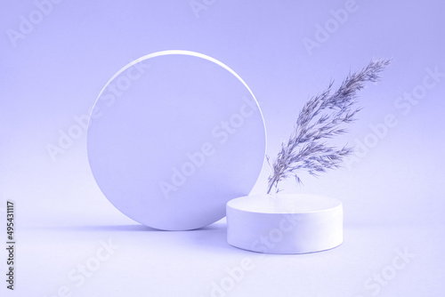 Podium for cosmetic product presentation. Abstract minimal geometrical form. Cylinder sphere, natural stone. Soft shadow. Scene to show products. Showcase, display case. Dry pampas grass. Front view photo