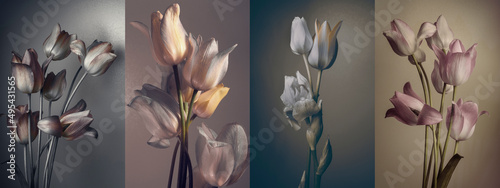 spring tulips, four bouquets in four images, pastel and gray colors.