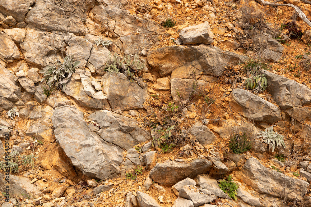 Stone rock natural texture. High-resolution nature background.