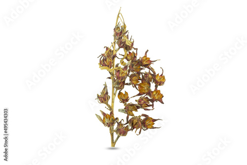 Dried rosella