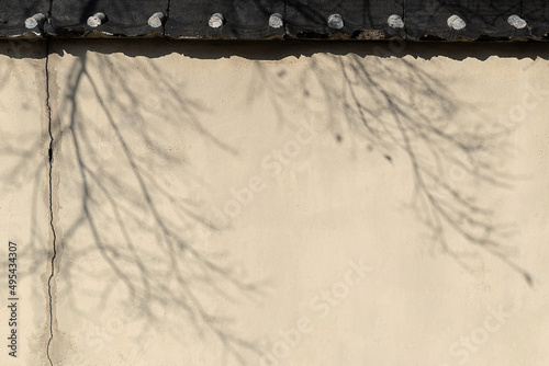 Textured wall with tree branch shadows. Abstract minimalistic background.