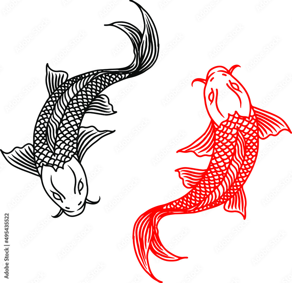 Two Koi Fish Drawing 969x1000 Design Vector Outline Two Koi Fish Black and Red Line Stock Vector | Adobe  Stock