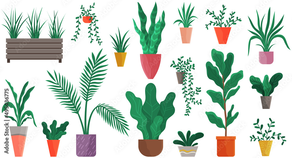 Set of pot with houseplant isolated at white. Vector flowerpot of decorative green plant with long leaves in ceramic pot. Indoor plant concept of domestic greenery. Icon for home interior plant Set of pot with houseplant isolated at white. Vector flowerpot of decorative green plant with long leaves in ceramic pot. Indoor plant concept of domestic greenery. Icon for home interior plant