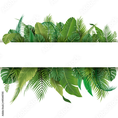Summer poster with tropical palm leaf