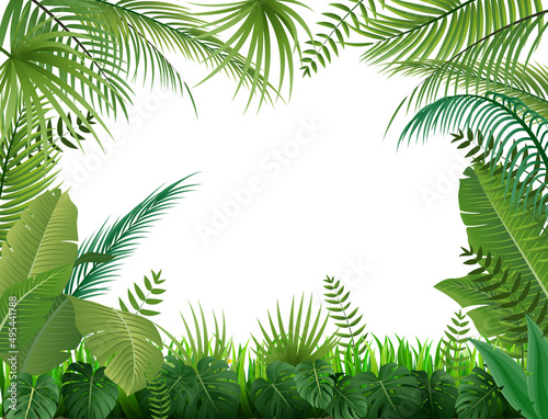 Fototapeta Naklejka Na Ścianę i Meble -  Summer poster with tropical palm leaf