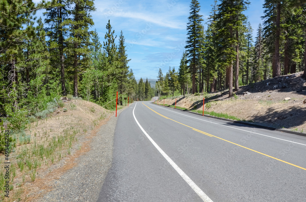 Naklejka premium Empty winding road through a pine forest in the mountains on a clear summer day