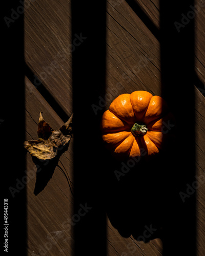 Orange pumpkin on brown wooden plank
