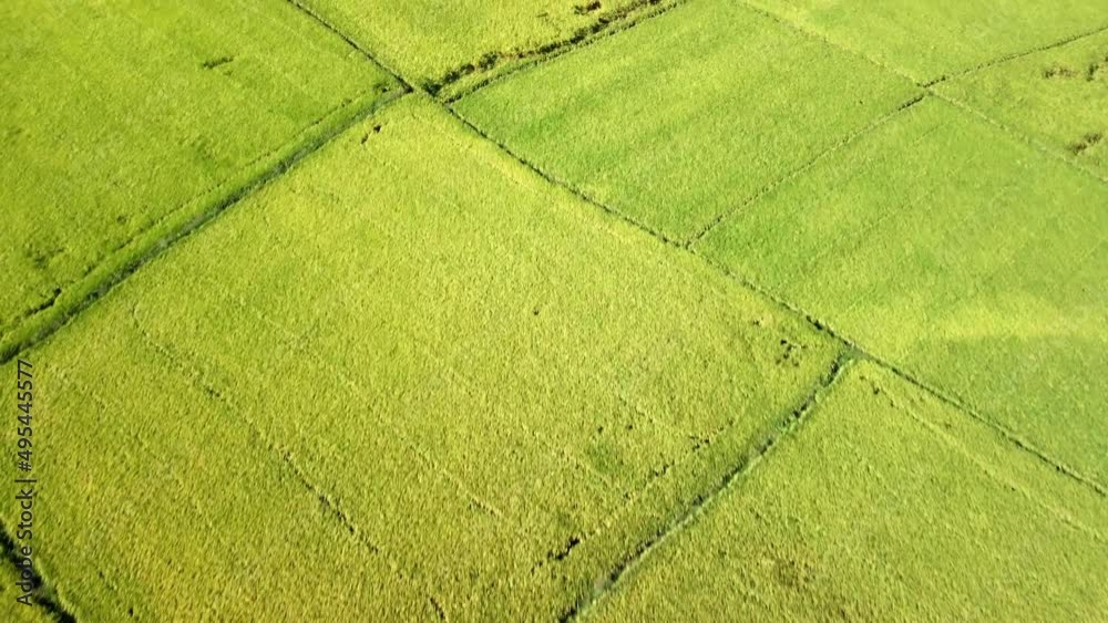 Awesome aerial view of bright green rice fields, Vietnam Awesome aerial view of bright green rice fields, Vietnam