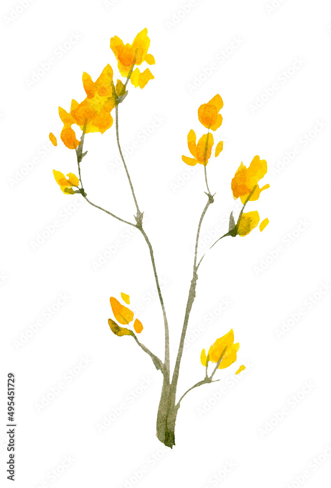 Flowers illustration. various yellow flowers on white background. Easter, spring, summer concept. Flat lay, top view, copy space