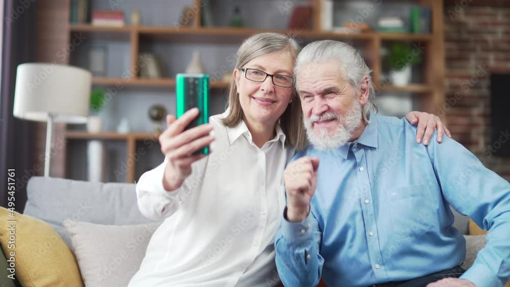 Elderly Family of senior retirees Happy gray haired grandparents communicate online in a video call using a mobile phone smartphone. laugh and wave hands. mature couple Remote meeting with children