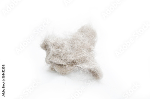 Cat fur ball on a white background