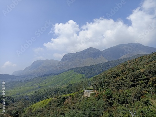 Tea plantation in the hill vally of munnar