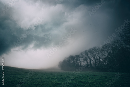 Misty scenery with fog over a green field