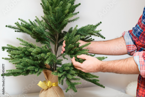 The man's hands straighten the branches of the needles. Christmas preparations for the holiday. Artificial spruce