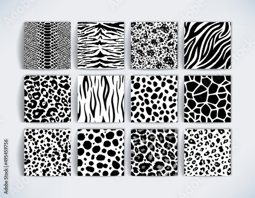 Wild safari animal black and white seamless pattern collection. Vector leopard, cheetah, tiger, giraffe, zebra, snake skin texture set for fashion print design, fabric, textile, background, wallpaper