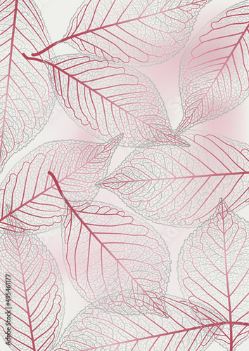 Beautiful background with leaves veins. Vector illustration.