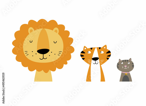 Lion, tiger and cat in order of size. Fun vector illustration