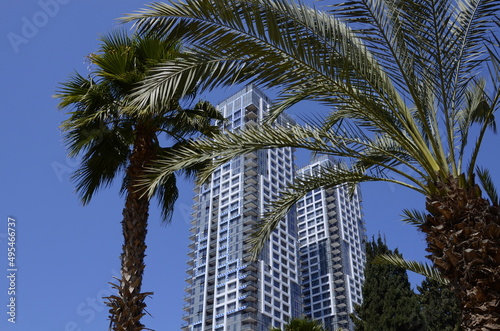 Tower construction. Beautiful new buildings twins in Tel Aviv. Palm branches in the foreground © ShU studio