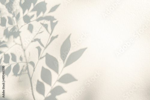 Leaf shadow and light nature tropical background. Natural leaves tree branch and plant shadows with sunlight dappled on white wall. Shadow overlay effect