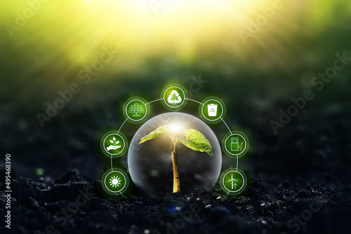 Sources for renewable, sustainable development. Environment and  cology  concept. photo