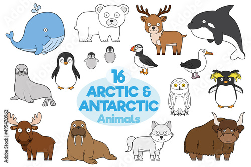 Set of 16 arctic and antarctic animals in cartoon style Vector Illustration