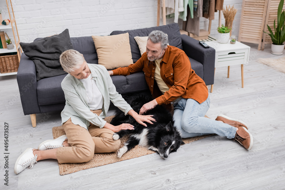 Cheerful couple petting border collie near couch in living room.