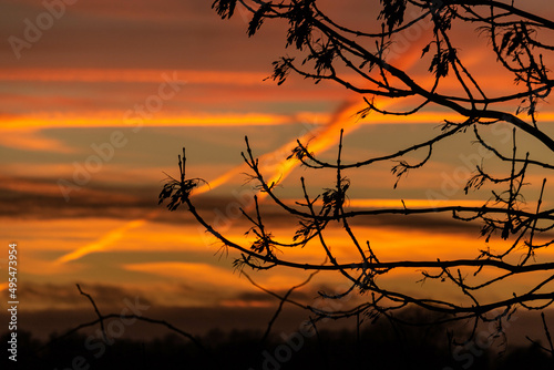 Obraz na płótnie Sundown w salonie