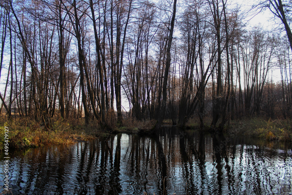 reflection in the water reflection in the water