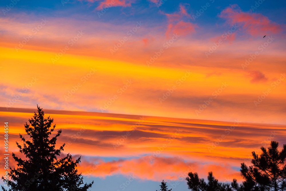 Fototapeta premium Breathtaking sunset over the trees