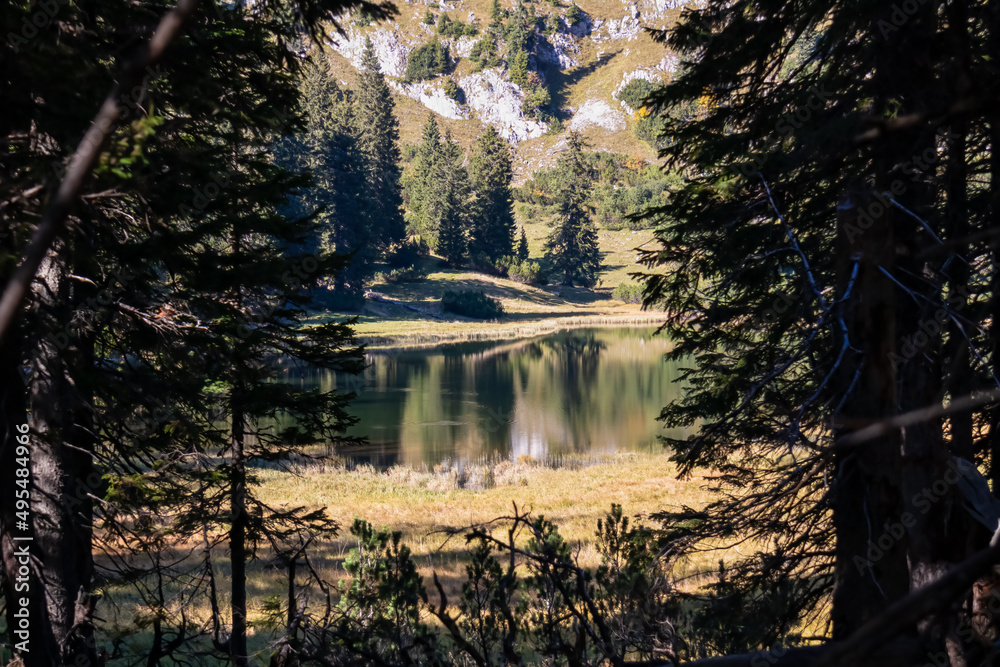 Panoramic view from the forest on lake Sackwiesensee in the Hochschwab Region in Upper Styria, Austria. Sharp summits of Seemauer, Polster, Oehler in the Alps in Europe. Wilderness. Concept freedom