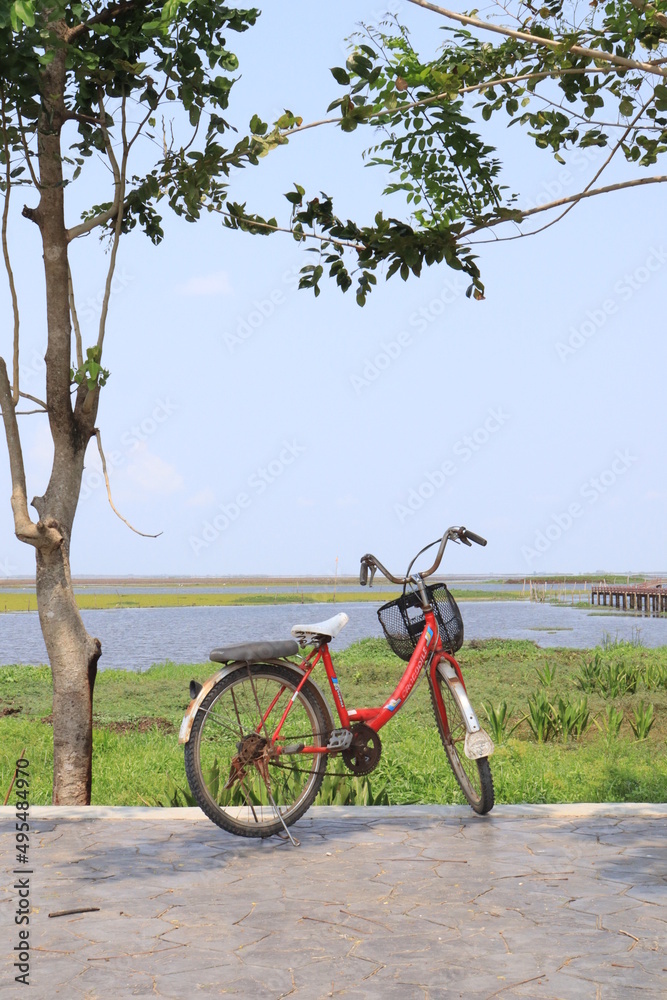 Fototapeta premium person riding a bicycle