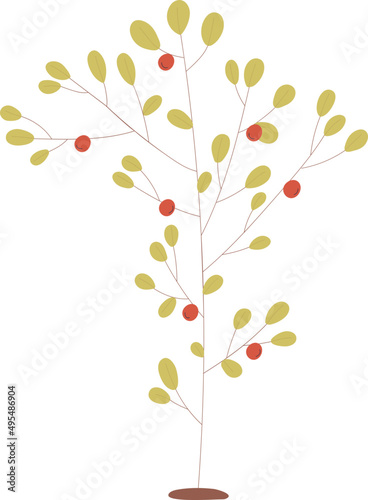 Apple Tree Colored Illustration